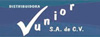 PISTON NEUMATICO CON BRIDA , CABALLETE , HORQUILLA DNC-160-250-PPV-A (NO.16)